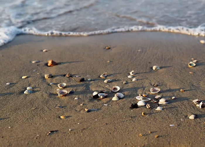 Daire Sea View Flat With Balcony And Pool *