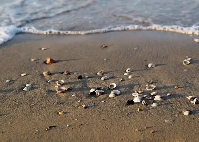 Sea View Flat With Balcony And Pool